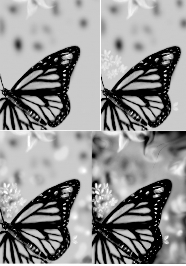 Creation of Monarch Butterfly: Step 5
